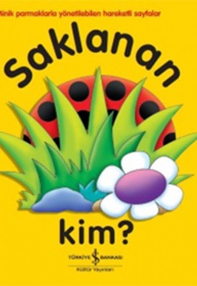 Saklanan Kim?