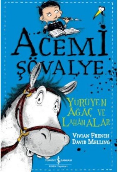 Acemi Şövalye