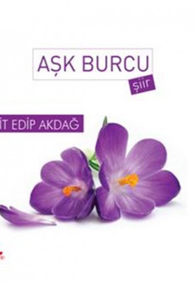 Aşk Burcu