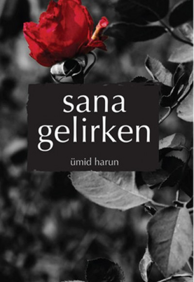 Sana Gelirken