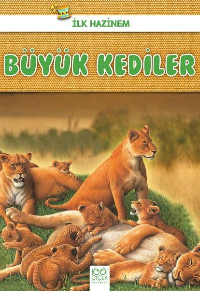 İlk Hazinem - Büyük Kediler