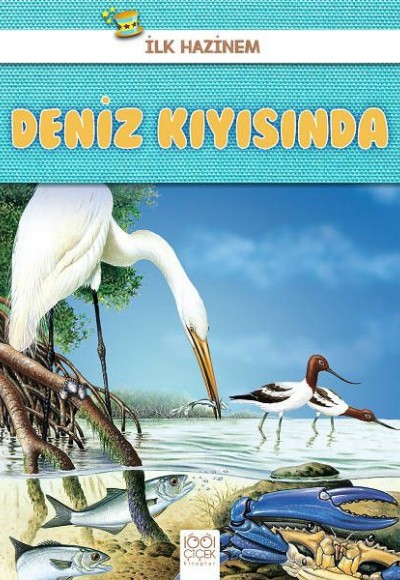 İlk Hazinem - Deniz Kıyısında