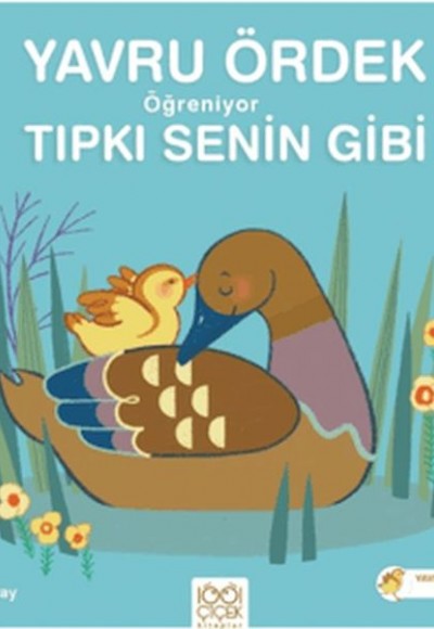 Yavru Ördek Öğreniyor Tıpkı Senin Gibi