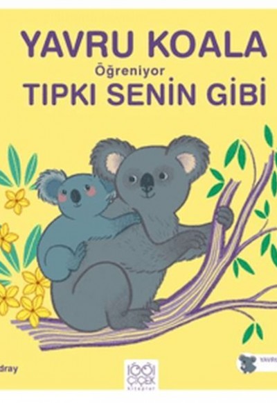 Yavru Koala Öğreniyor Tıpkı Senin Gibi