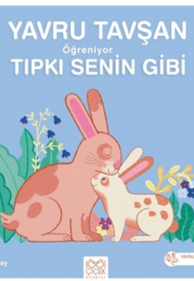 Yavru Tavşan Öğreniyor Tıpkı Senin Gibi