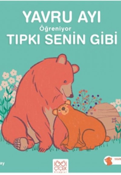 Yavru Ayı Öğreniyor Tıpkı Senin Gibi
