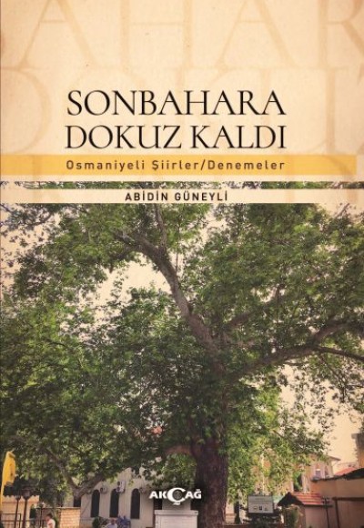 Sonbahara Dokuz Kaldı