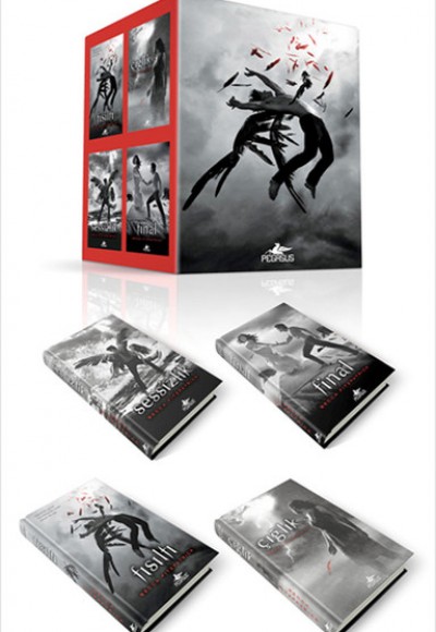Hush Hush Serisi Seti (4 Kitap)