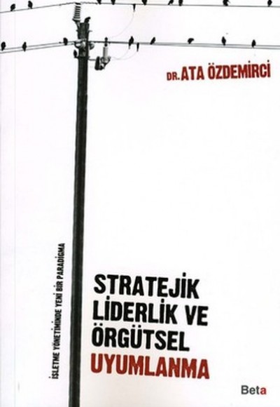 Stratejik Liderlik ve Örgütsel Uyumlanma