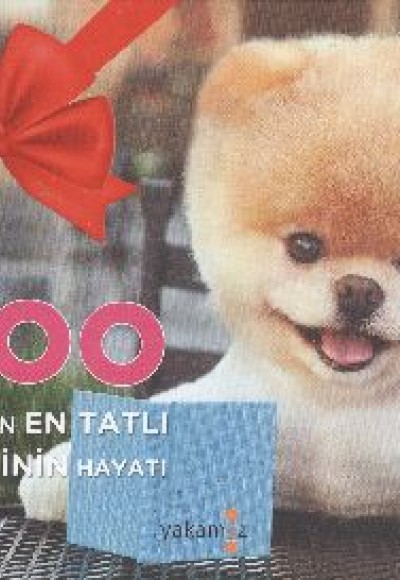 Boo  Dünyanın En Tatlı Köpeğinin Hayatı