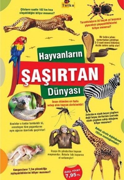 Hayvanların Şaşırtan Dünyası