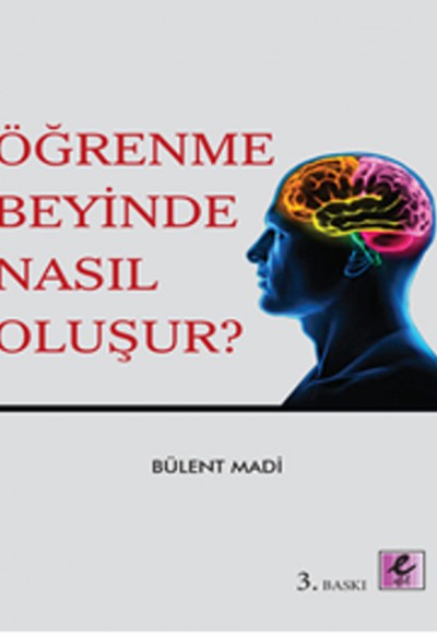 Öğrenme Beyinde Nasıl Oluşur?