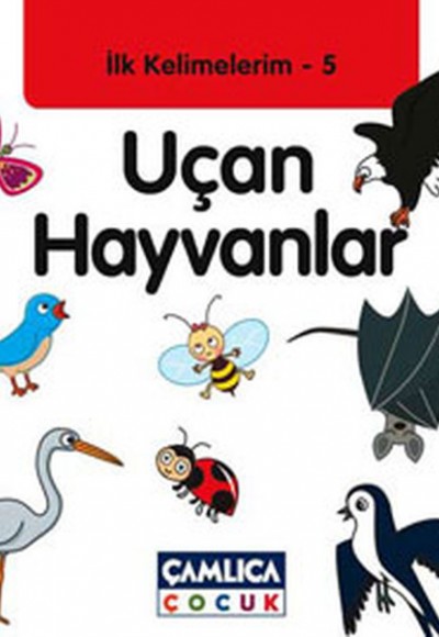 Uçan Hayvanlar / İlk Kelimelerim -5