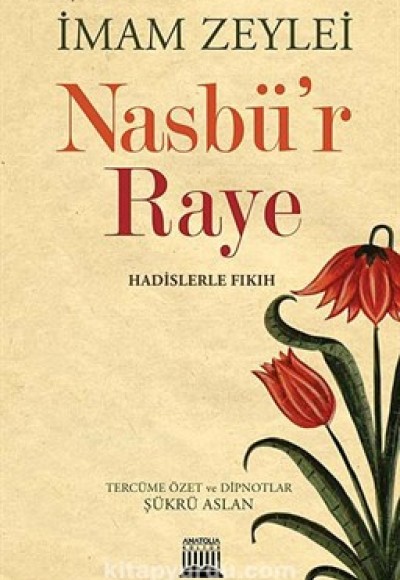 Nasbü'r Raye Hadislerle Fıkıh