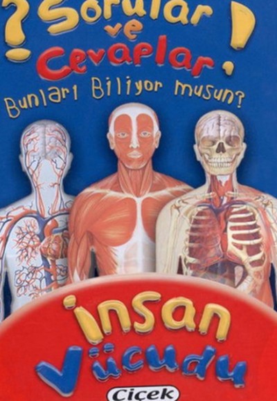 İnsan Vücudu (Kart) / Sorular ve Cevaplar Dizisi 3