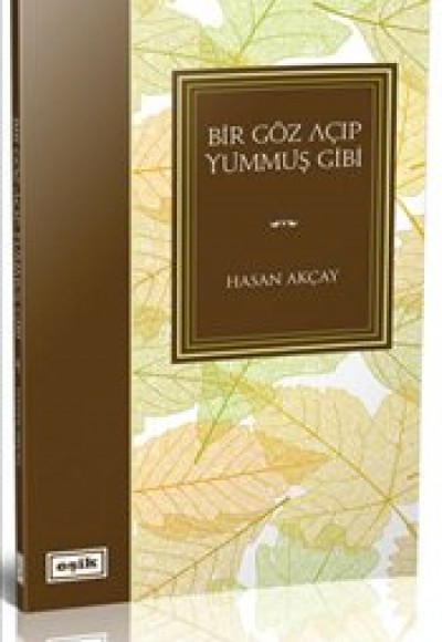 Bir Göz Açıp Yummuş Gibi