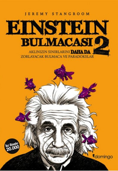 Einstein Bulmacası 2  Aklınızın Sınırlarını Zorlayacak Bulmaca ve Paradokslar