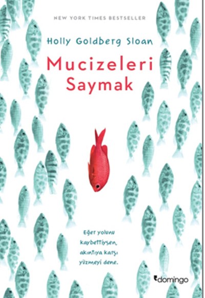 Mucizeleri Saymak