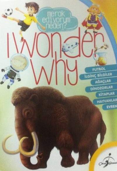 I Wonder Why 3
