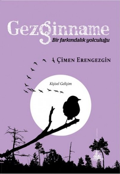 Gezginname - Bir Farkındalık Yolculuğu