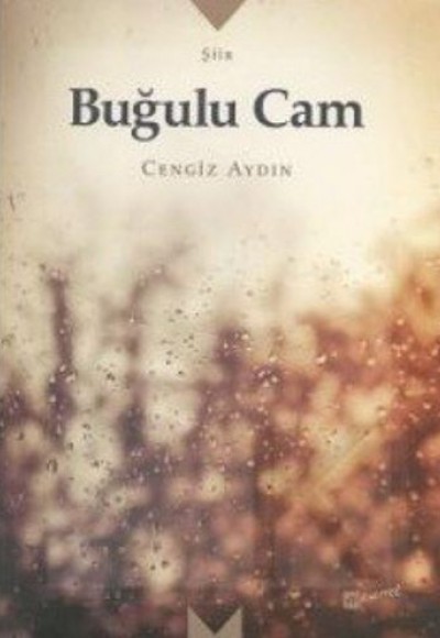 Buğulu Cam