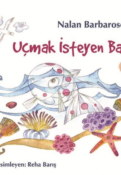 Uçmak İsteyen Balık