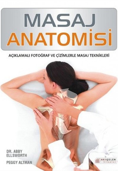 Masaj Anatomisi