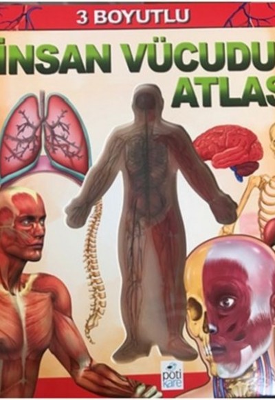 3 Boyutlu İnsan Vücudu Atlası