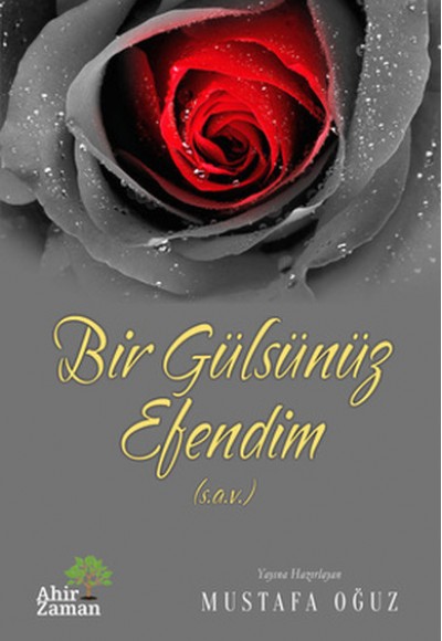 Bir Gülsünüz Efendim (s.a.v.)