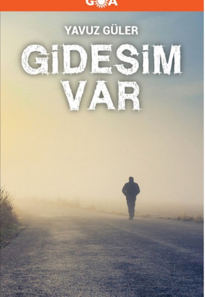 Gidesim Var