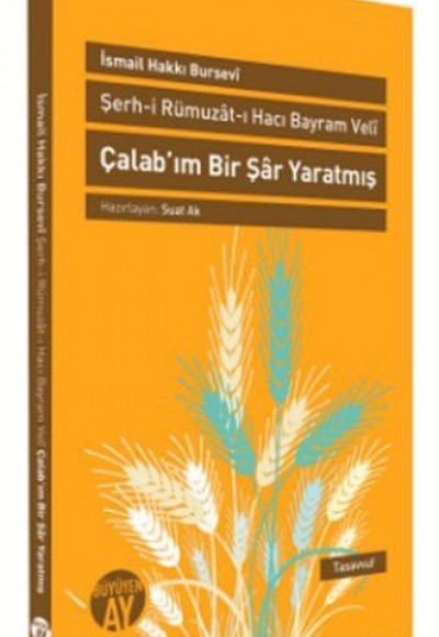 Şerh-i Rümuzat-ı Hacı Bayram Veli Çalab'ım Bir Şar Yaratmış