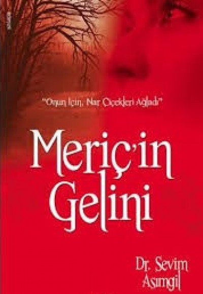 Meriç'in Gelini