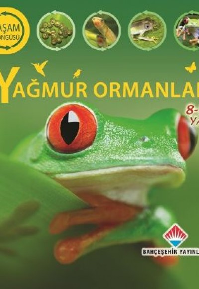 Yaşam Döngüsü - Yağmur Ormanları (8-12 Ages)