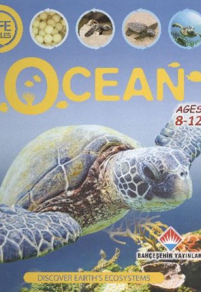 Life Cycles - Ocean (8-12 Ages)