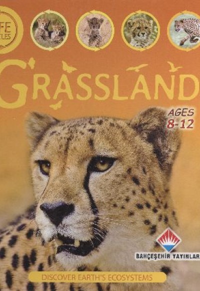Life Cycles - Grassland (8-12 Ages)