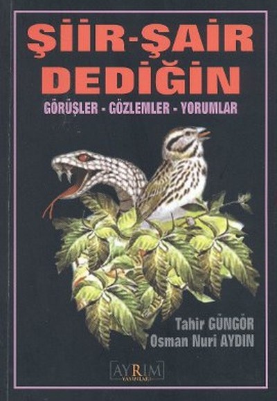 Şiir - Şair Dediğin