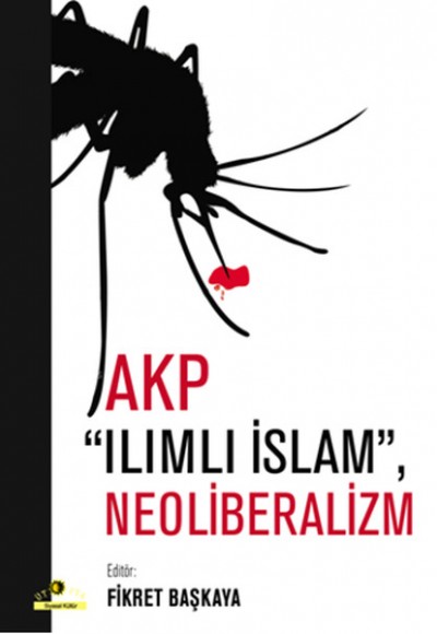AKP Ilımlı İslam, Neoliberalizm