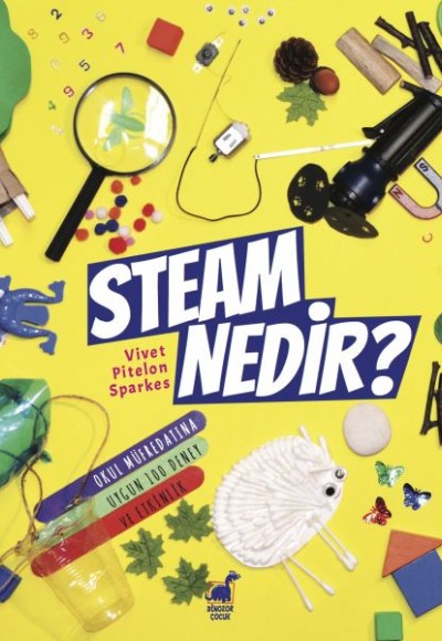 Steam Nedir?