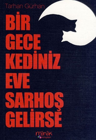 Bir Gece Kediniz Eve Sarhoş Gelirse