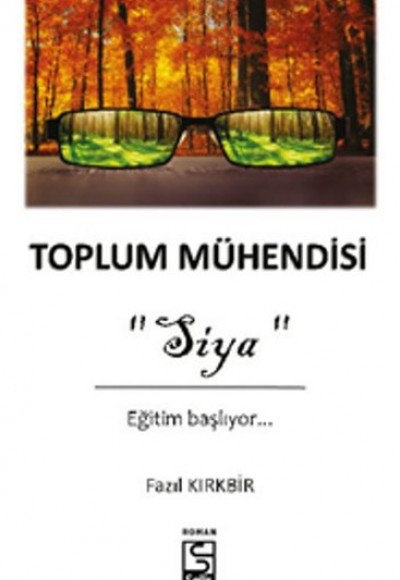 Toplum Mühendisi