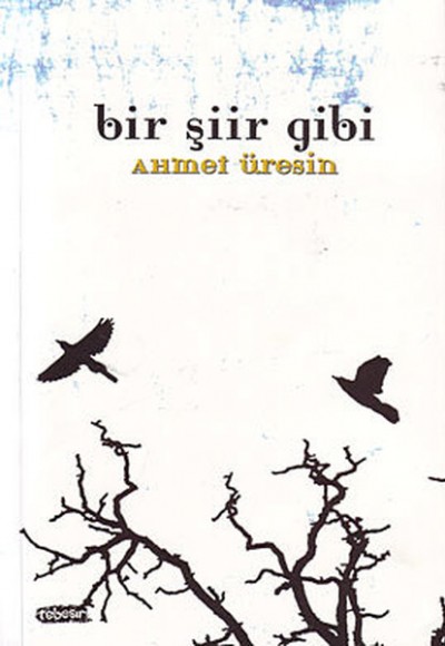 Bir Şiir Gibi