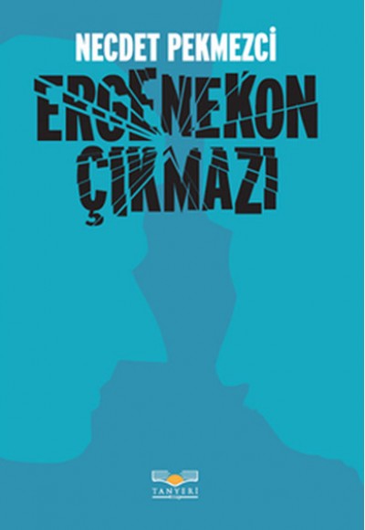 Ergenekon Çıkmazı