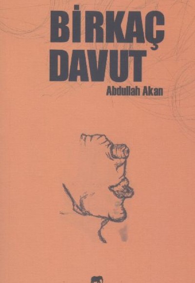 Birkaç Davut