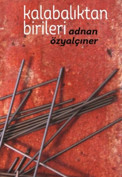 Kalabalıktan Birileri (Ciltli)