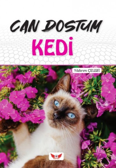 Can Dostum Kedi
