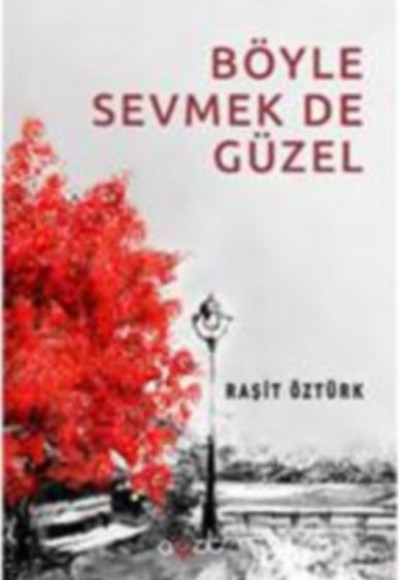 Böyle Sevmek de Güzel