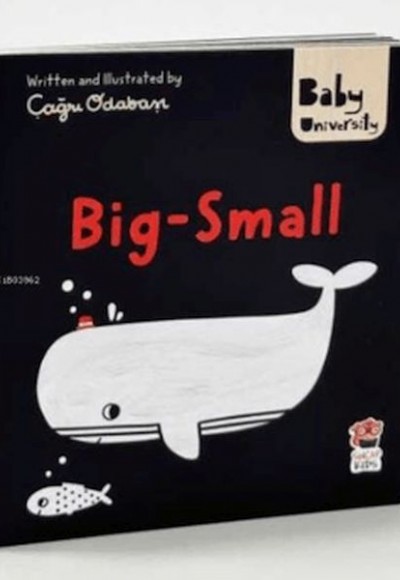 Big Small - Baby University First Concept Stories