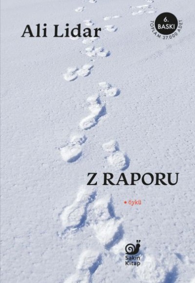 Z Raporu