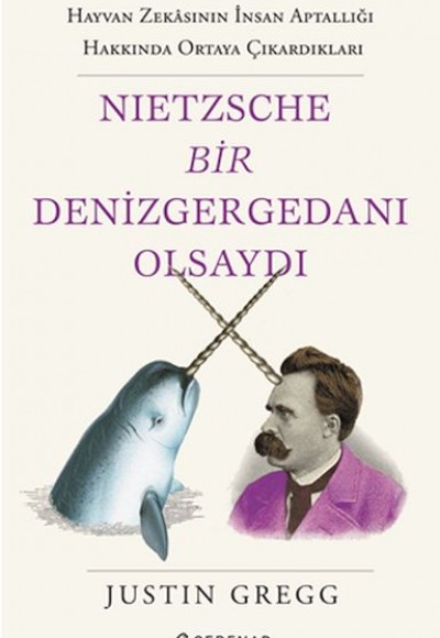 Nietzsche Bir Denizgergedanı Olsaydı