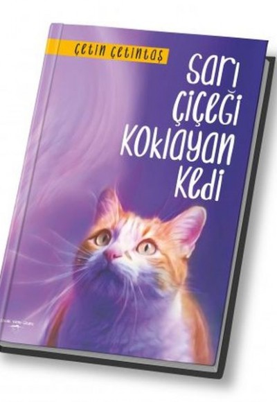 Sarı Çiçeği Koklayan Kedi